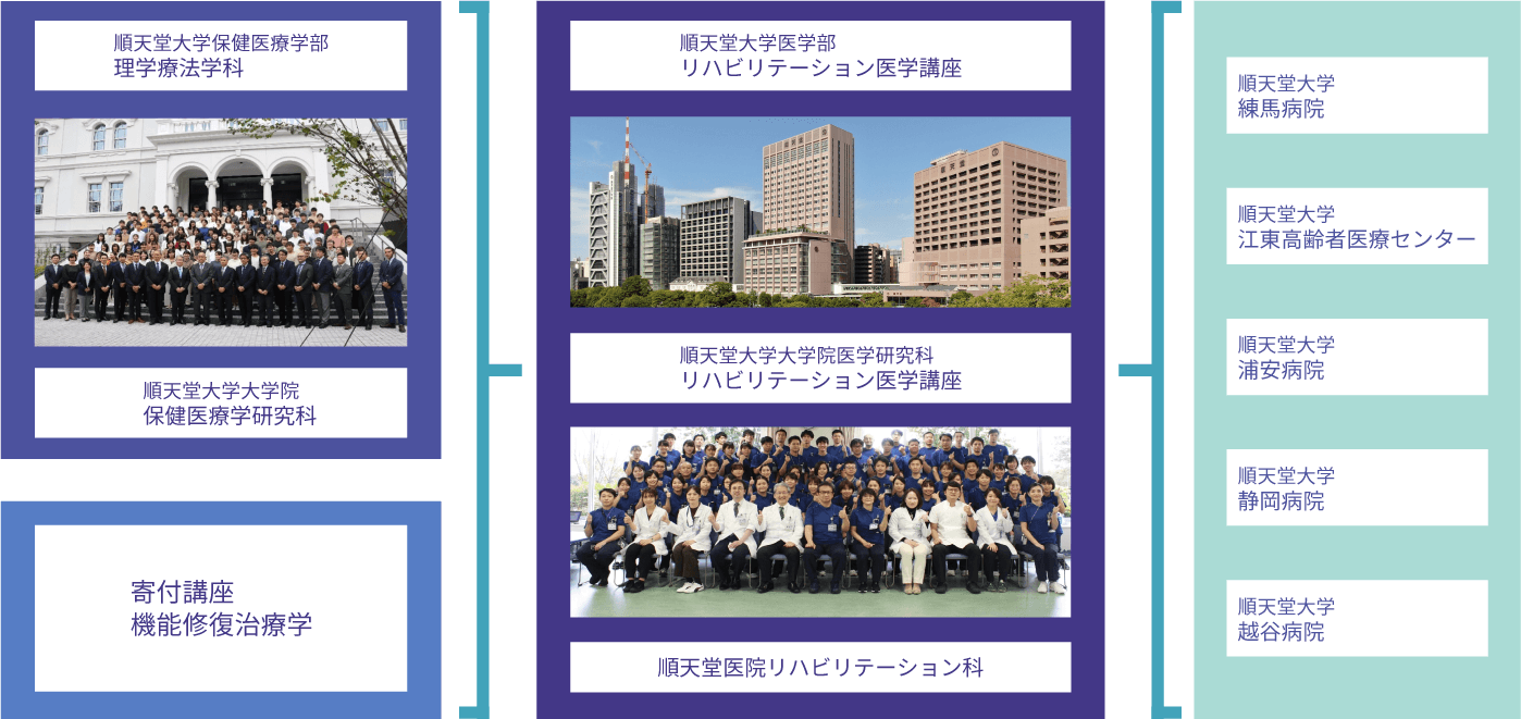 組織図